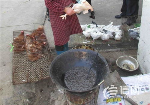青岛公安食药环侦部门利剑出击，守护舌尖上的安全